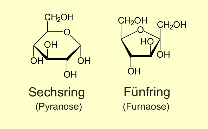Pyranose - Furanose <i>Pyranose</i> - <i>Furanose</i>